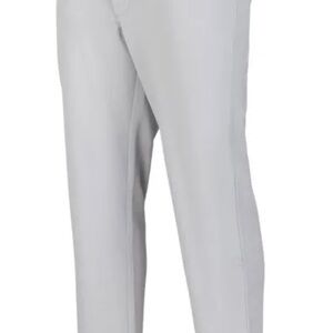Mizuno Light Gray Pants Men’s Baseball L